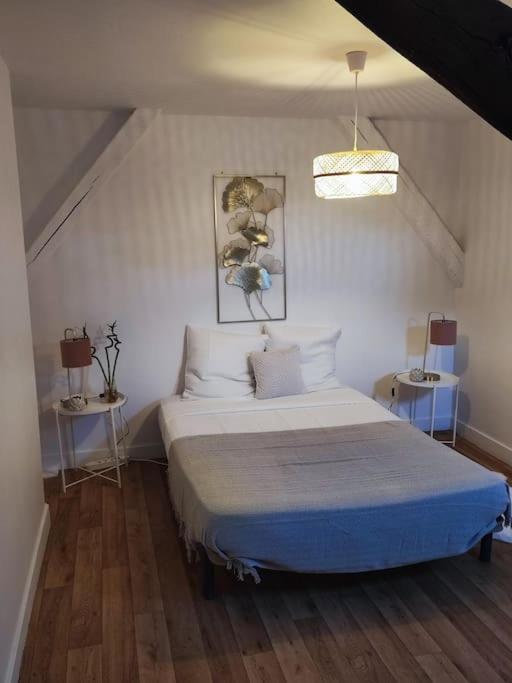Magnifique Appartement Beaux Arts Tours Exterior foto
