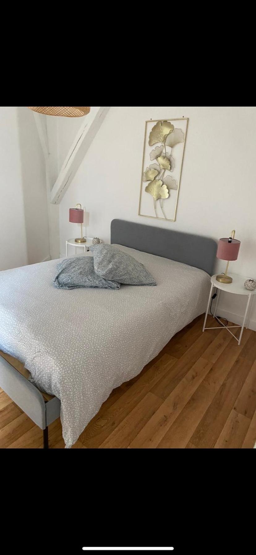 Magnifique Appartement Beaux Arts Tours Exterior foto
